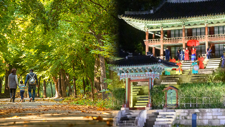 Where In Seoul Should You Visit During These Last Few Weeks Of Spring?