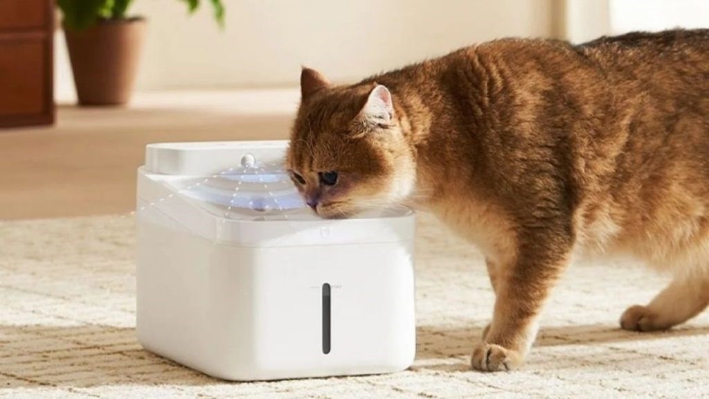 Smart water dispenser for pets