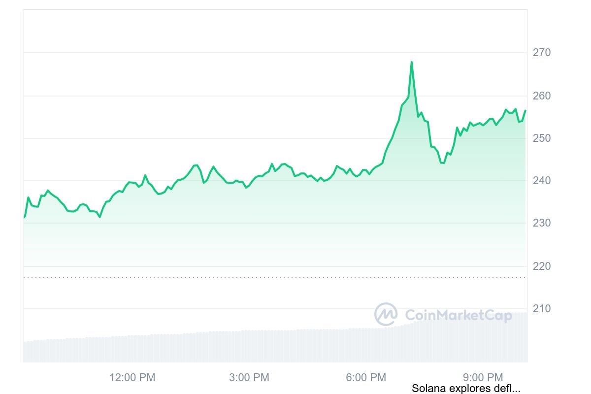 SOL left its mark on the market | HardwareNews