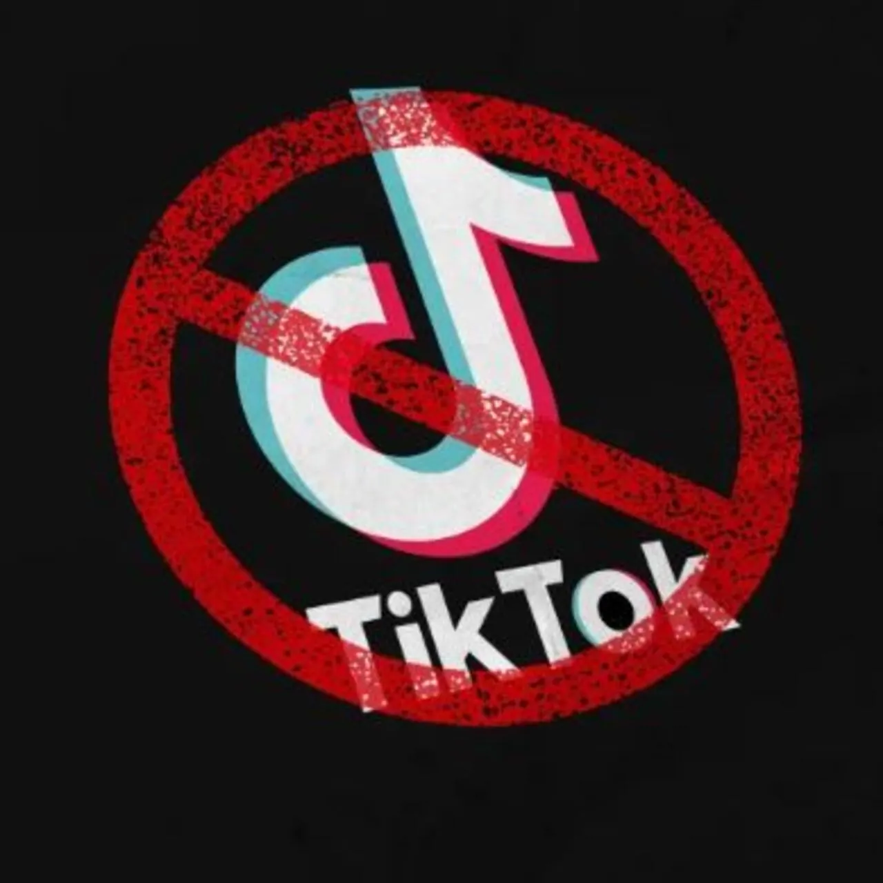 Albania bans TikTok for a year