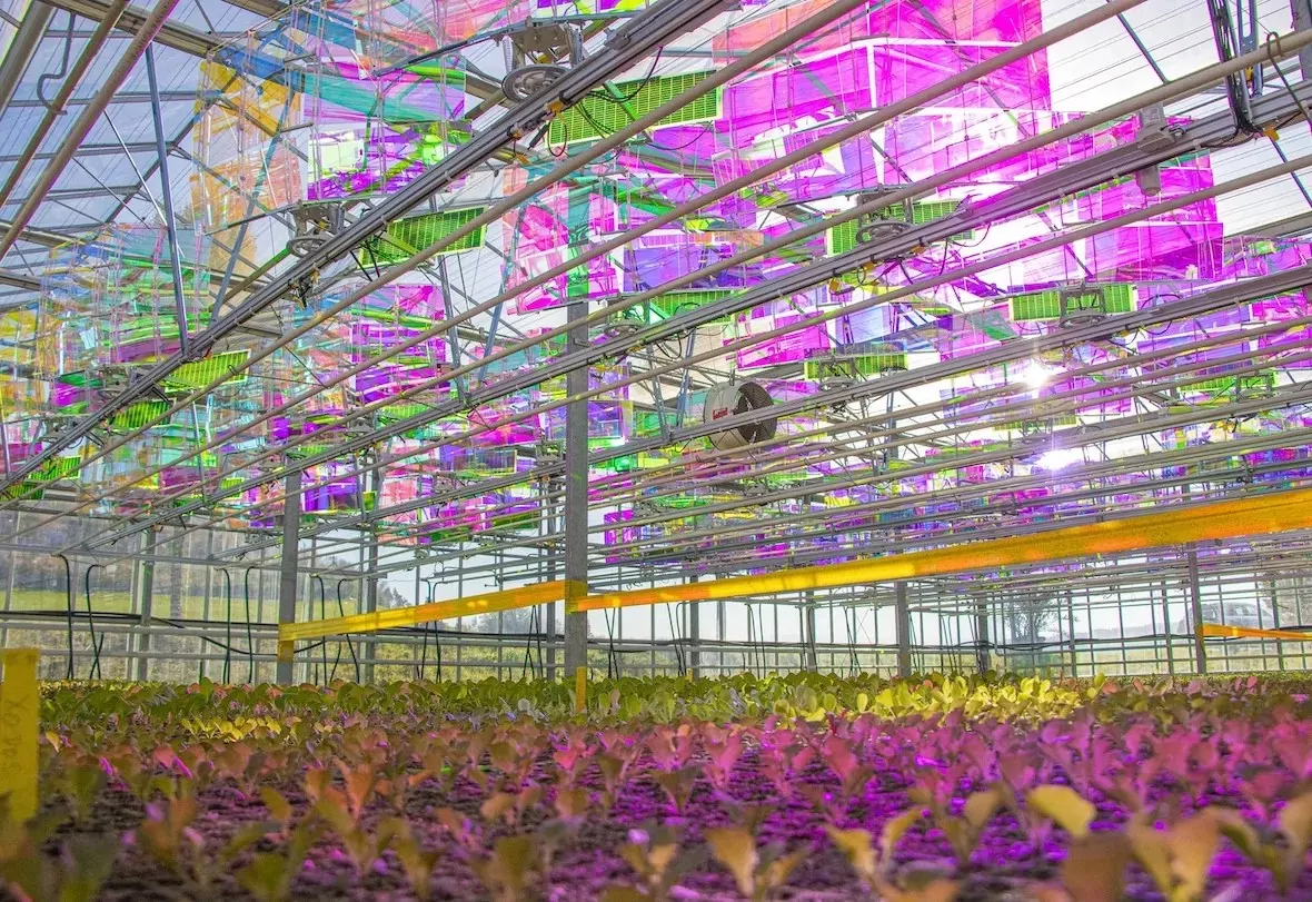 Solar technology that increases revenue and produces electricity in greenhouses